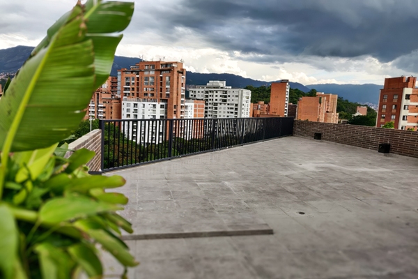Planta decorativa y baranda de seguridad en el balcón